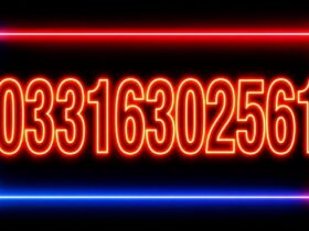 03316302561