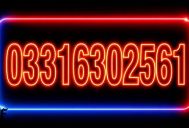 03316302561