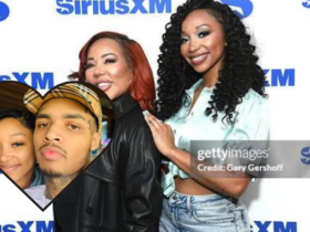 zonnique pullins