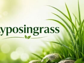 Lyposingrass