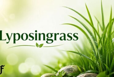 Lyposingrass