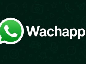 Wachappe