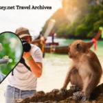 albino monkey.net travel archives