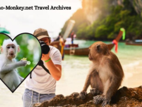 albino monkey.net travel archives