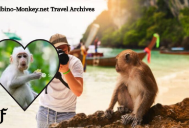 albino monkey.net travel archives