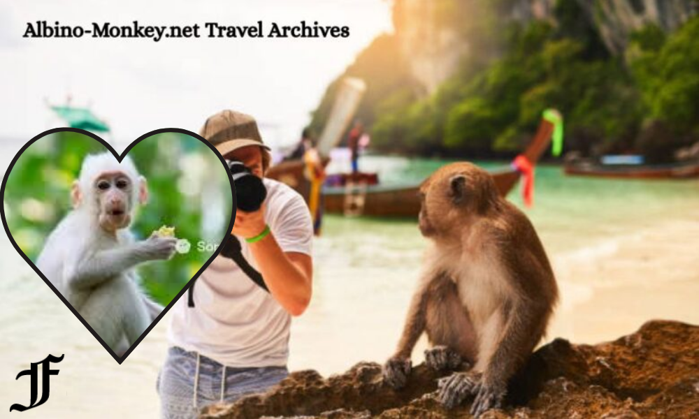 albino monkey.net travel archives