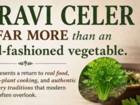 Pravi Celer